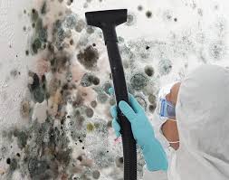 Professional Mold Removal & Remediation in West Ocean City, MD